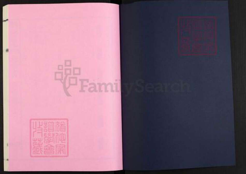 安徽省安庆市怀宁县雷端口乡陈氏聚星堂族谱-义门陈氏宗谱.pdf电子版预览图1