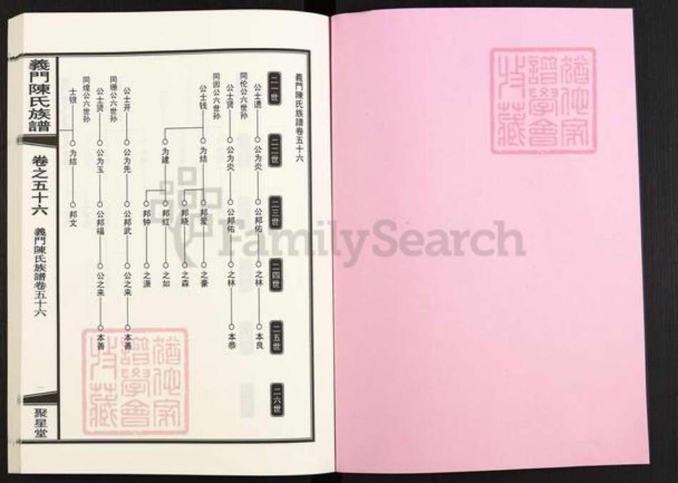 安徽省安庆市怀宁县雷端口乡陈氏聚星堂族谱-义门陈氏宗谱.pdf电子版预览图2