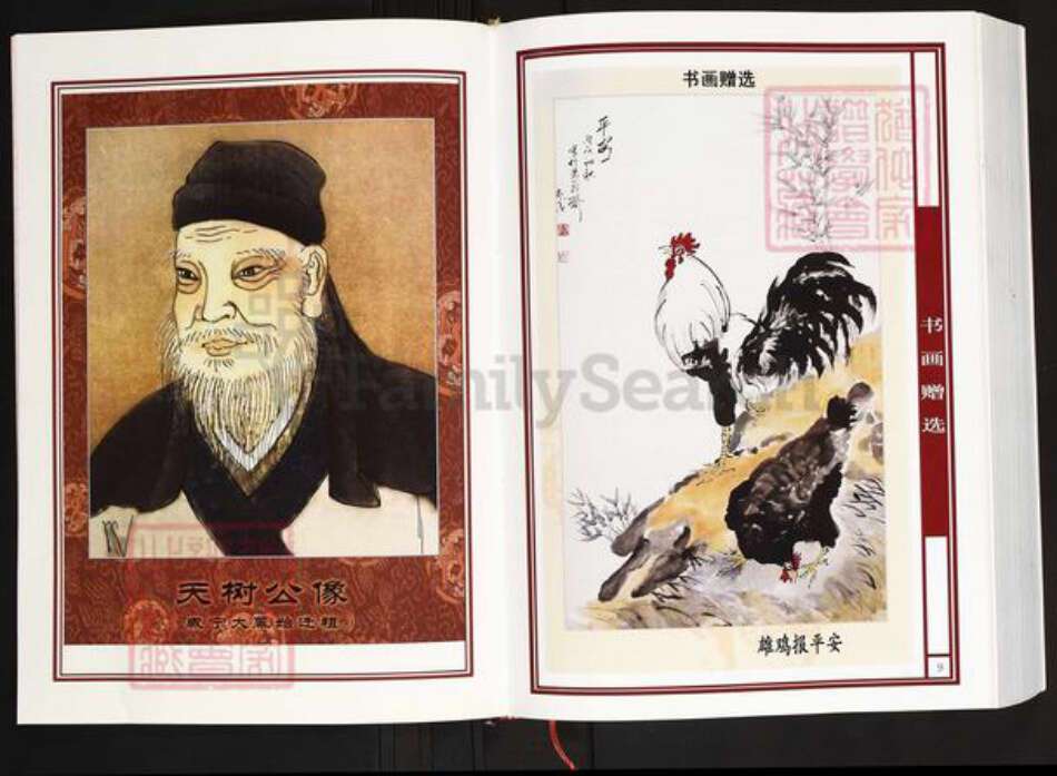 湖北省咸宁市咸安区大幕乡陈氏义门堂族谱-中华义门陈氏大成谱.江夏庄延升派下天树公支系族谱.pdf电子版预览图5