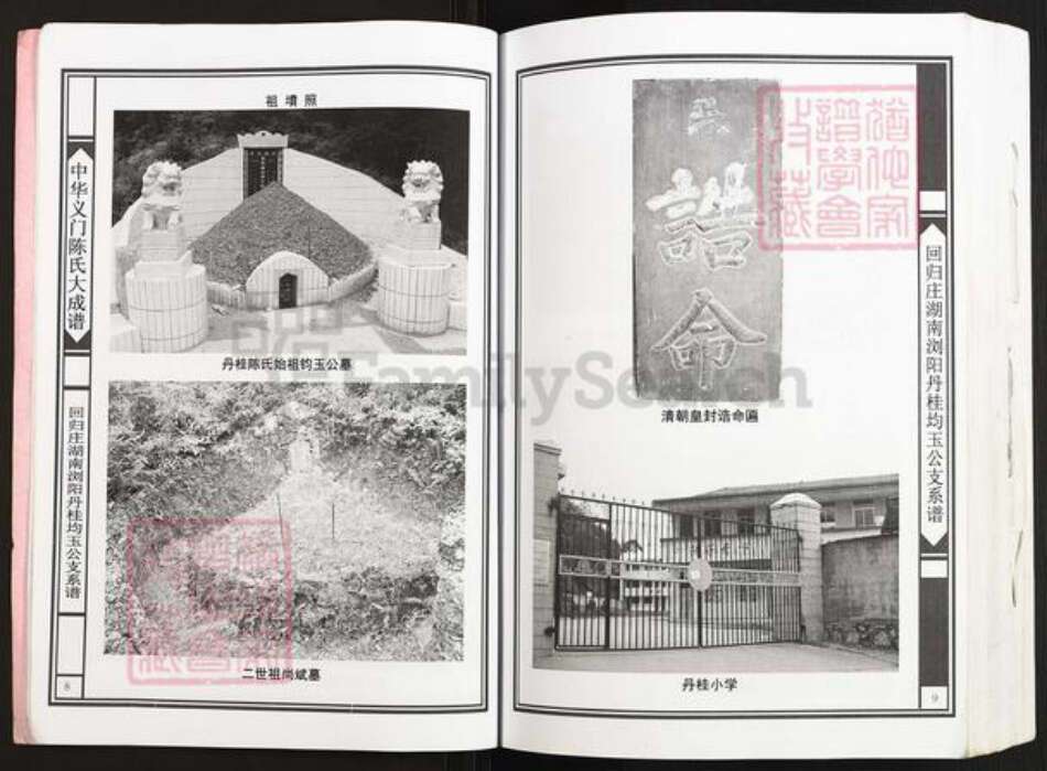 湖南省长沙市浏阳市金刚镇陈氏义门堂族谱-中华义门陈氏大成谱.回归庄湖南浏阳丹桂均玉公支系谱.pdf电子版预览图5