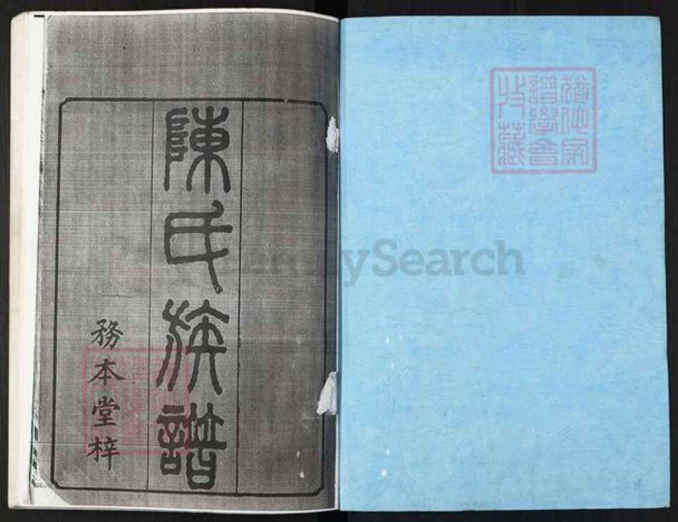 江西省抚州市临川区陈氏颖川堂族谱-陈氏族谱.pdf电子版预览图1