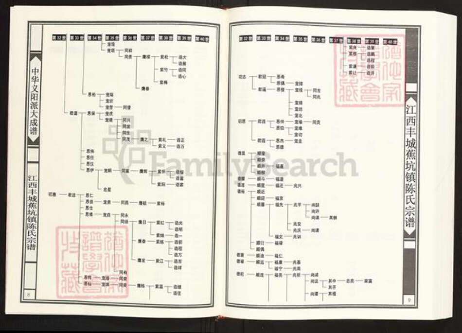 江西省宜春市丰城市蕉坑乡陈氏族谱-中华义阳派大成谱.全国统修.江西丰城蕉坑镇陈氏族谱.pdf电子版预览图5