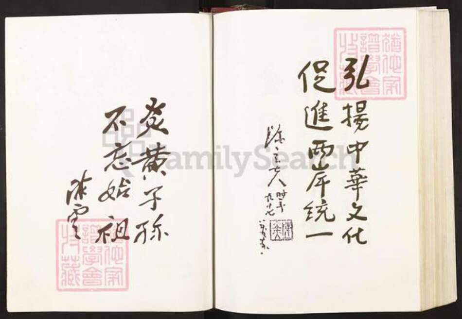 湖北省黄石市阳新县洋港镇陈氏永思堂族谱-义门果石庄大成宗谱.pdf电子版预览图4