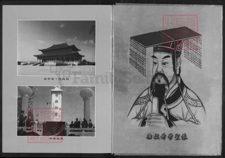 福建省厦门市思明区陈氏务本堂族谱-榄都陈氏族谱.pdf电子版预览图4