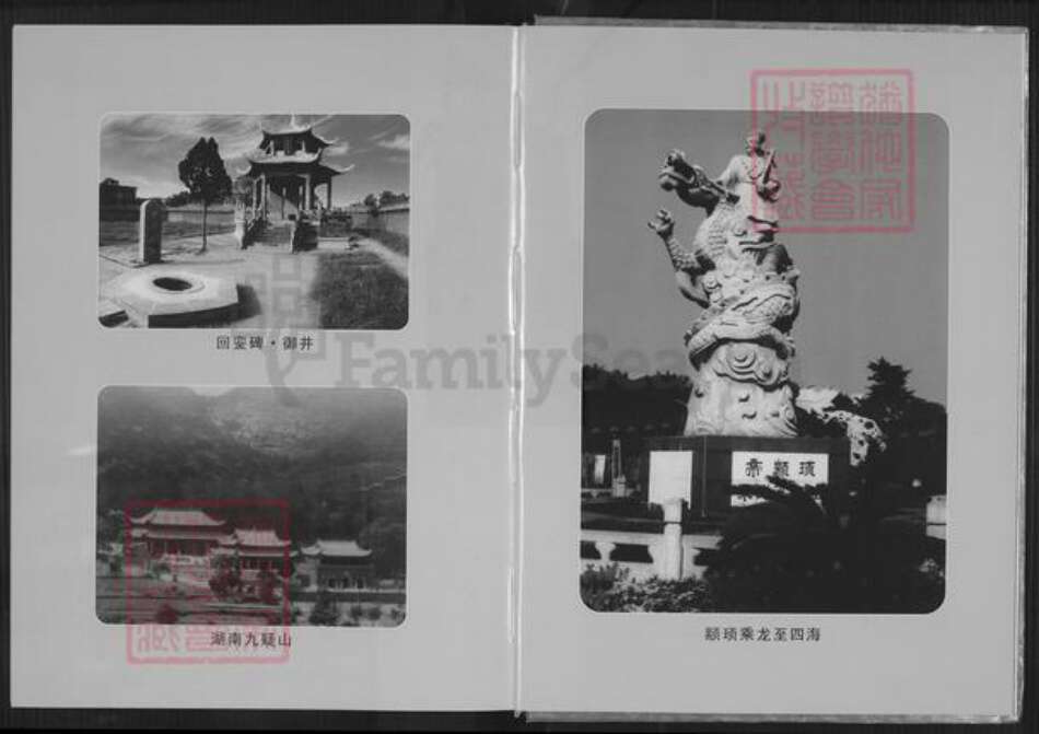 福建省厦门市思明区陈氏务本堂族谱-榄都陈氏族谱.pdf电子版预览图5