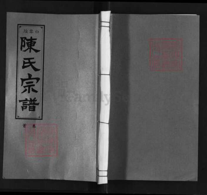 安徽省铜陵市枞阳县白梅乡陈氏星聚堂族谱-白云股陈氏宗谱.pdf电子版缩略图