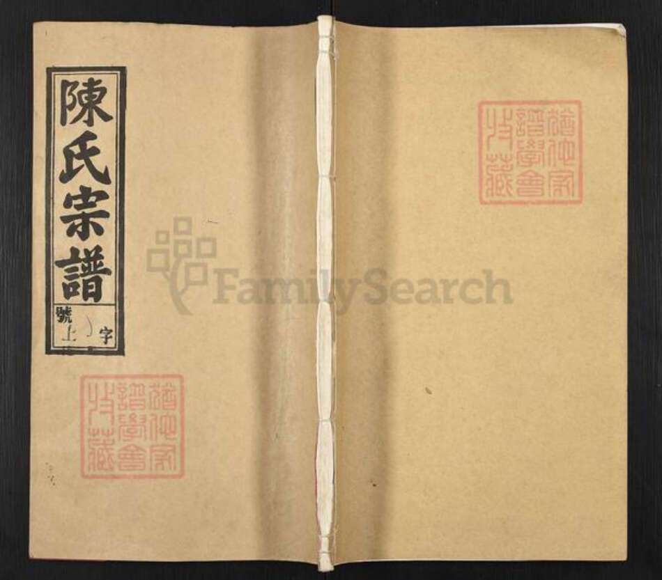 安徽省安庆市怀宁县清河乡陈氏敦睦堂族谱-陈氏宗谱.pdf电子版缩略图