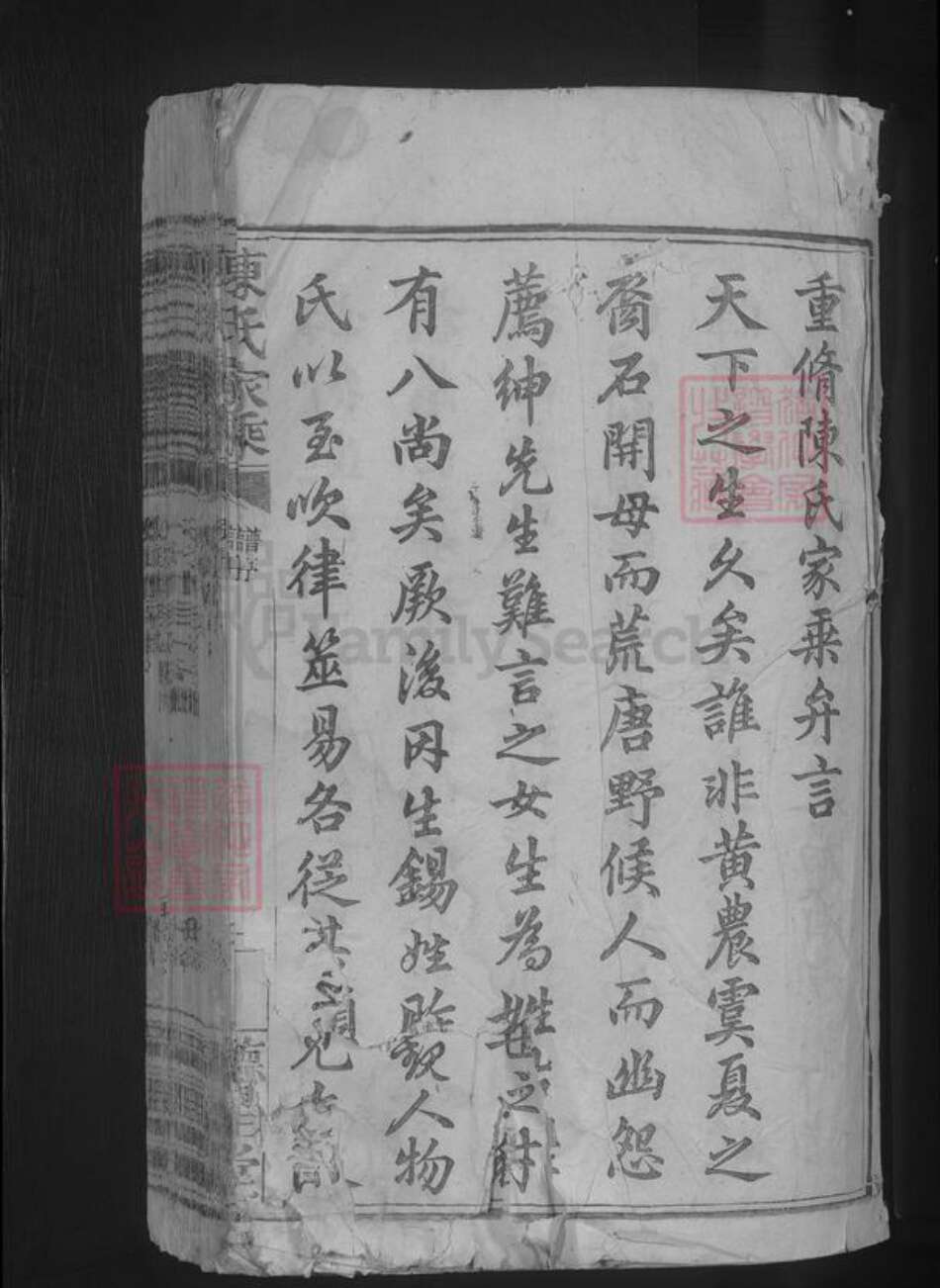 江西省九江市湖口县陈氏族谱-陈氏家乘 [不分卷].pdf电子版预览图3