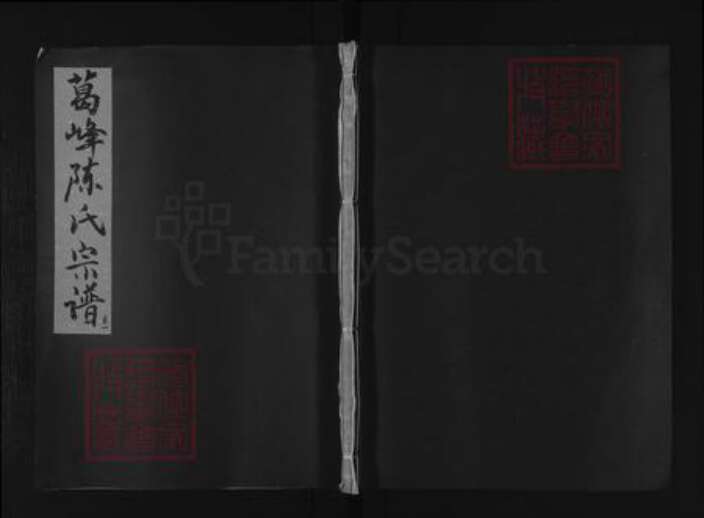 浙江省金华市义乌市义乌陈氏族谱-葛峰陈氏宗谱 [15卷].pdf电子版缩略图