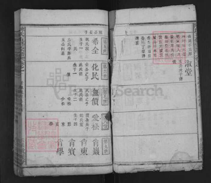 湖南省邵阳市隆回县沅江陈氏族谱-陈氏五修宗谱 [13卷].pdf电子版预览图3