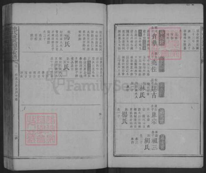 湖南省益阳市安化县陈氏族谱-陈氏康派续修家谱.pdf电子版预览图2