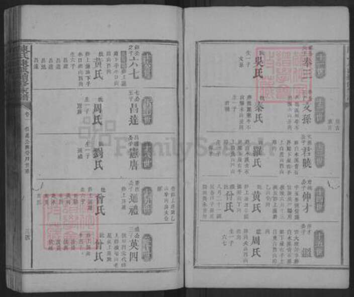 湖南省益阳市安化县陈氏族谱-陈氏康派续修家谱.pdf电子版预览图3