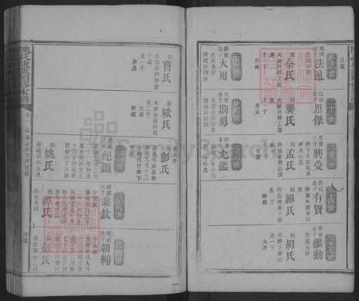 湖南省益阳市安化县陈氏族谱-陈氏康派续修家谱.pdf电子版预览图4