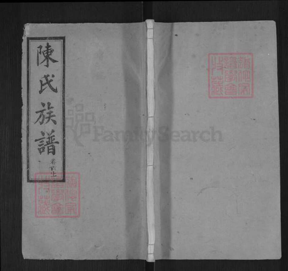 湖南省岳阳市湘阴县陈氏族谱-陈氏族谱.pdf电子版缩略图