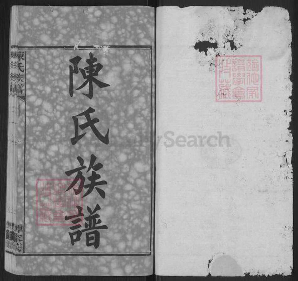 湖南省岳阳市湘阴县陈氏族谱-陈氏族谱.pdf电子版预览图1