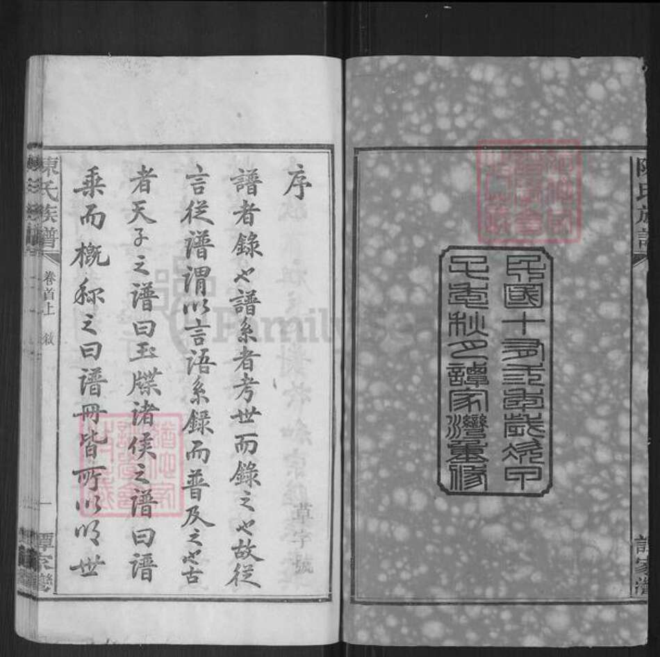 湖南省岳阳市湘阴县陈氏族谱-陈氏族谱.pdf电子版预览图2