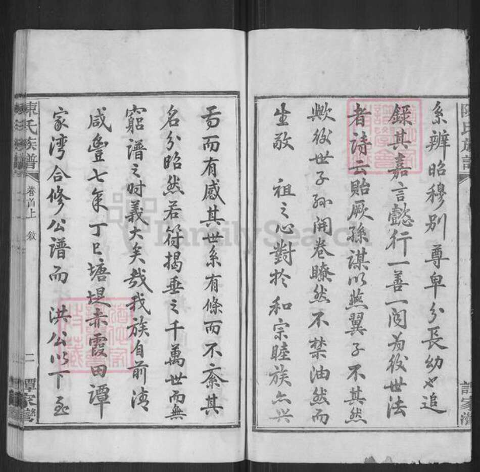 湖南省岳阳市湘阴县陈氏族谱-陈氏族谱.pdf电子版预览图3