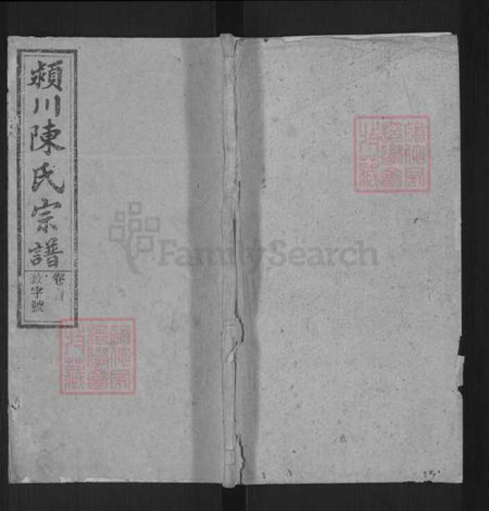 安徽省安庆市桐城市陈氏敦义堂族谱-颕川陈氏宗谱.pdf电子版缩略图