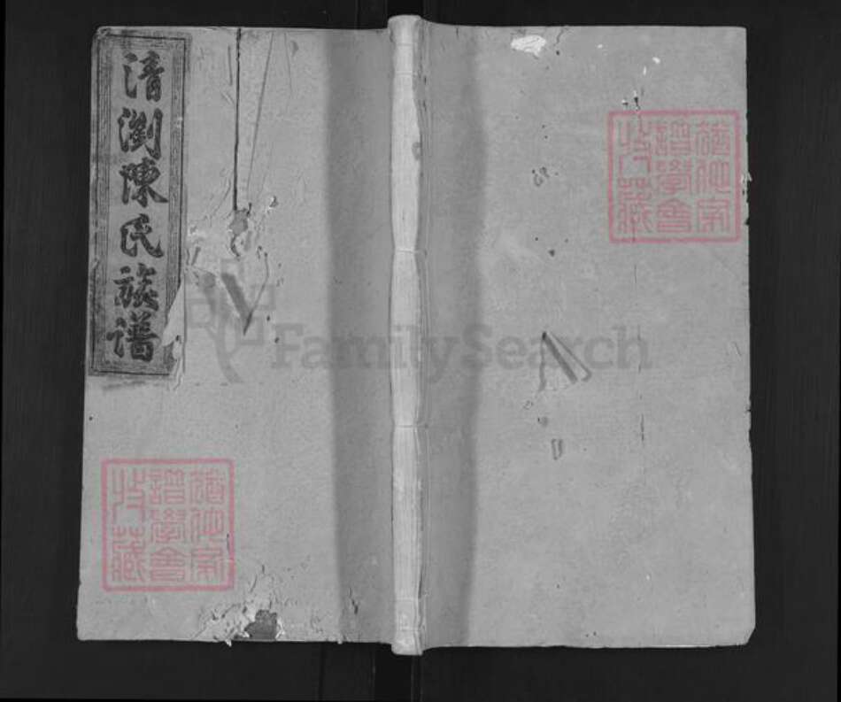 湖南省长沙市浏阳市沙市镇陈氏德星堂族谱-清浏陈氏族谱.pdf电子版缩略图