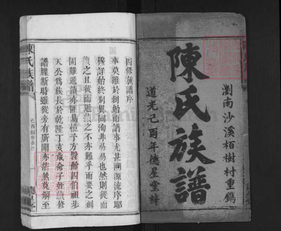 湖南省长沙市浏阳市沙市镇陈氏德星堂族谱-清浏陈氏族谱.pdf电子版预览图1