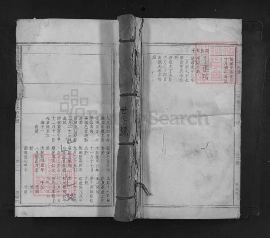 江西省赣州市于都县陈氏族谱-雩阳马岭陈氏族谱.pdf电子版缩略图