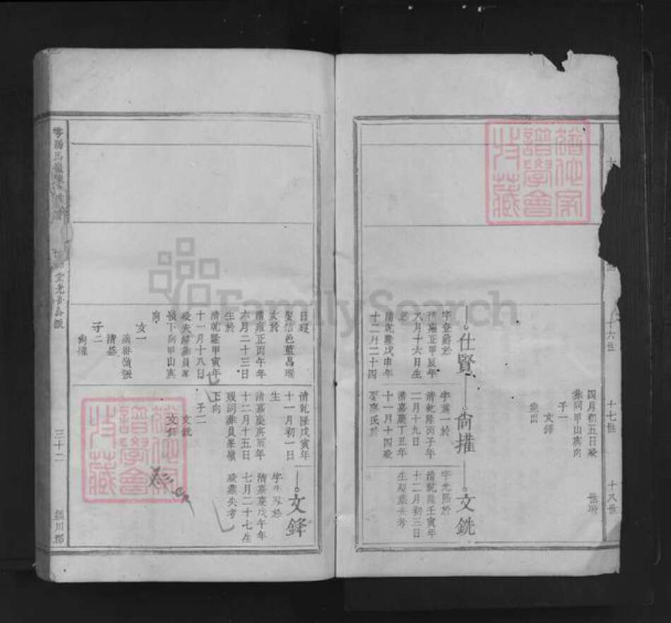 江西省赣州市于都县陈氏族谱-雩阳马岭陈氏族谱.pdf电子版预览图2