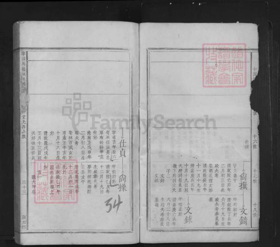 江西省赣州市于都县陈氏族谱-雩阳马岭陈氏族谱.pdf电子版预览图3