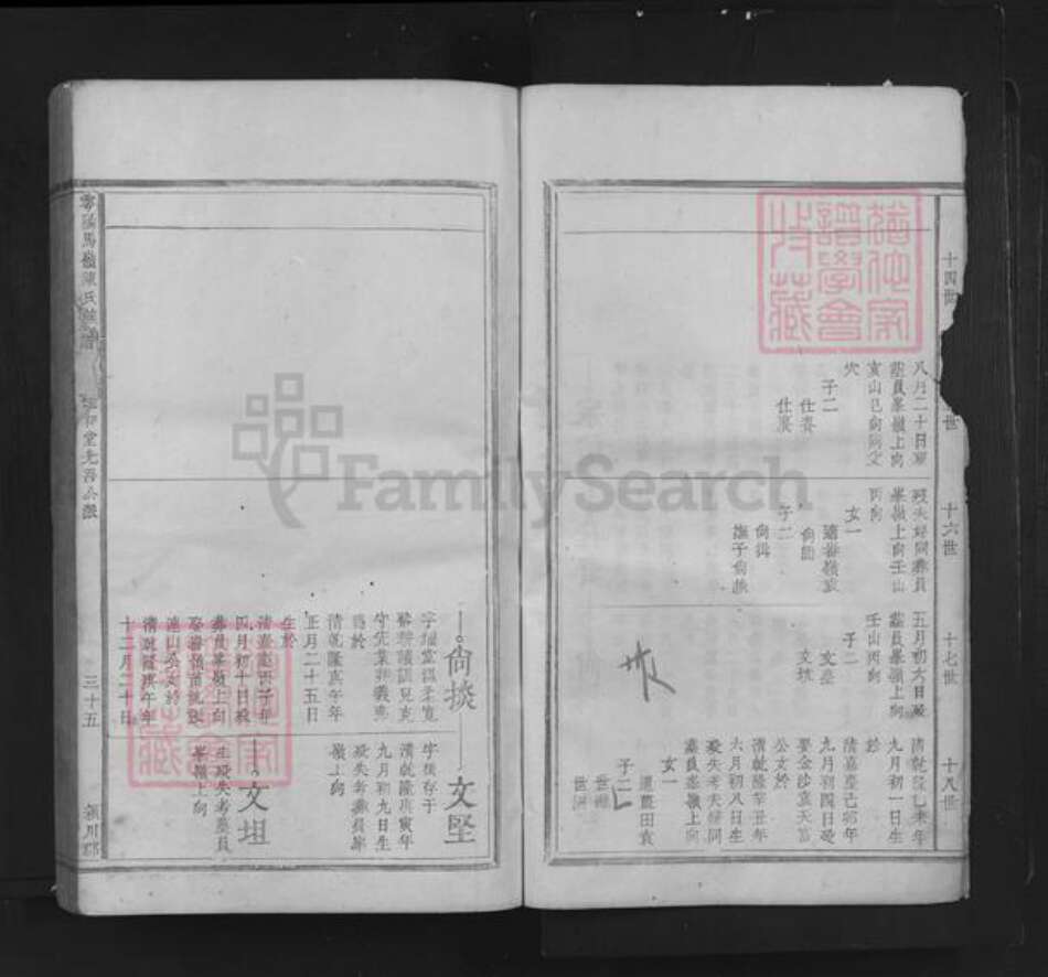 江西省赣州市于都县陈氏族谱-雩阳马岭陈氏族谱.pdf电子版预览图5