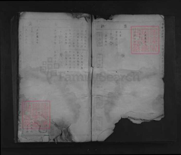 江西省赣州市于都县陈氏仁和堂族谱-雩阳马岭陈氏七修族谱.pdf电子版预览图2