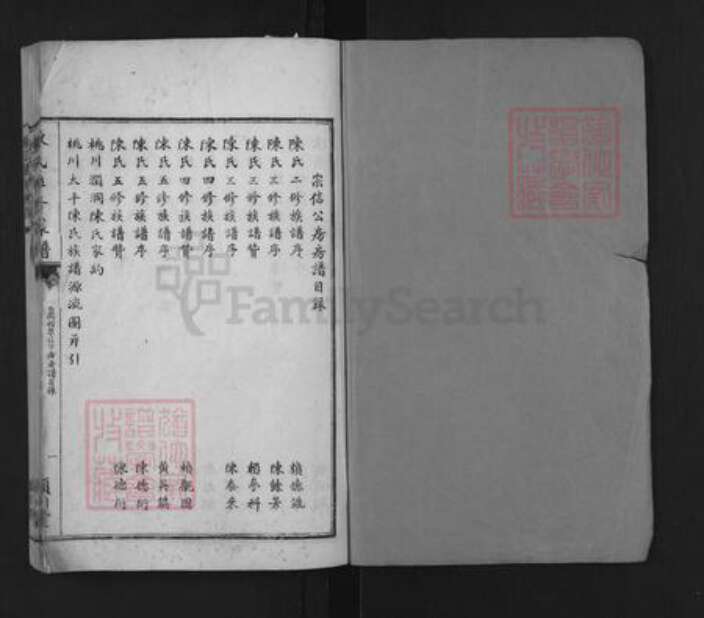 湖南省永州市江永县桃川镇陈氏颍川堂族谱-陈氏聨修家谱.pdf电子版预览图1