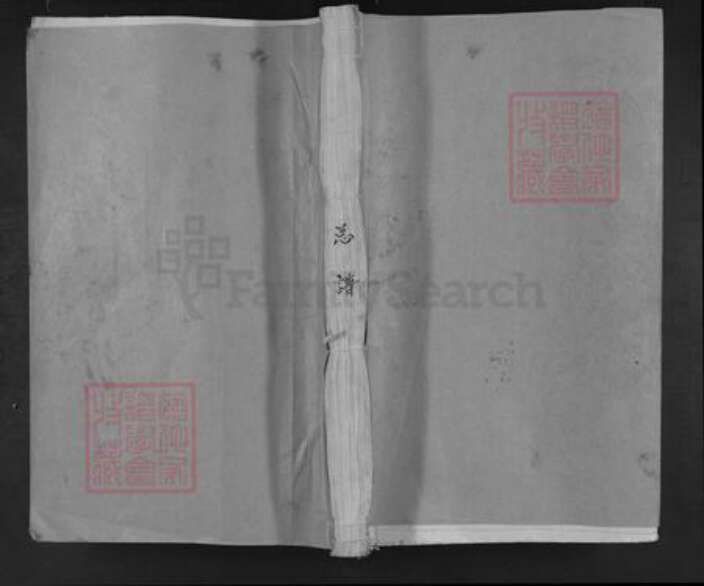 江西省九江市德安县车桥镇陈氏族谱-平西陈氏族谱.pdf电子版缩略图