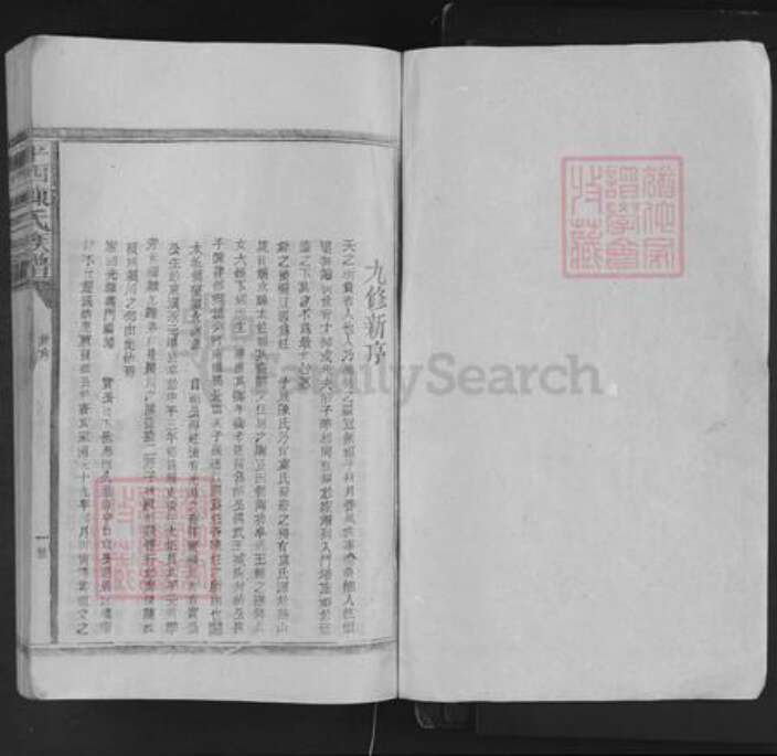 江西省九江市德安县车桥镇陈氏族谱-平西陈氏族谱.pdf电子版预览图1