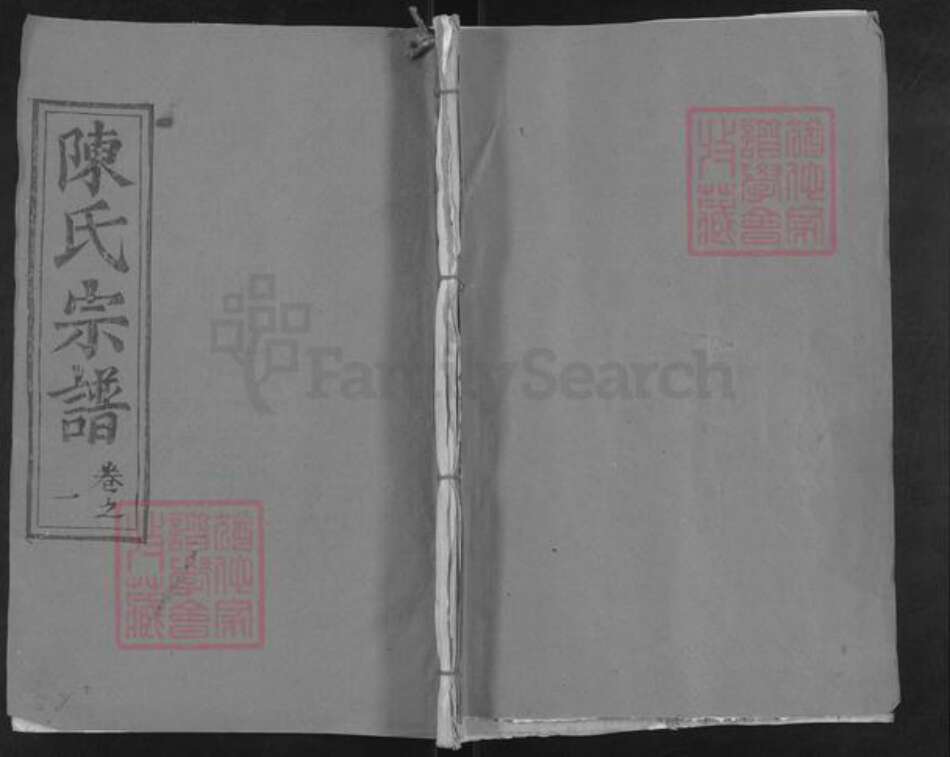 湖北省武汉市新洲区陈氏光裕堂族谱-陈氏宗谱.pdf电子版缩略图