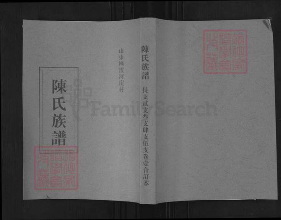 山东省烟台市招远市陈氏族谱-陈氏族谱.pdf电子版缩略图