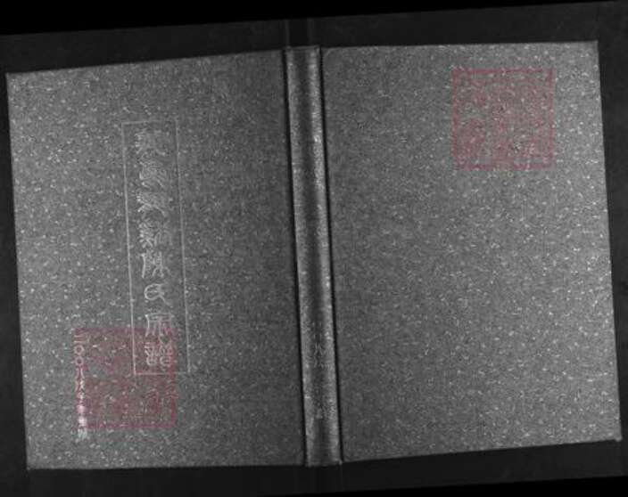 浙江省金华市浦江县白马镇陈氏族谱-龙溪陈氏宗谱.pdf电子版缩略图