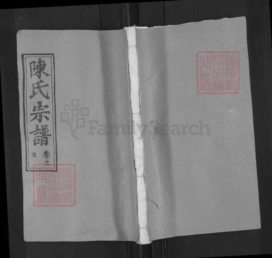 湖北省武汉市新洲区陈氏德星堂族谱-陈氏宗谱.pdf电子版缩略图