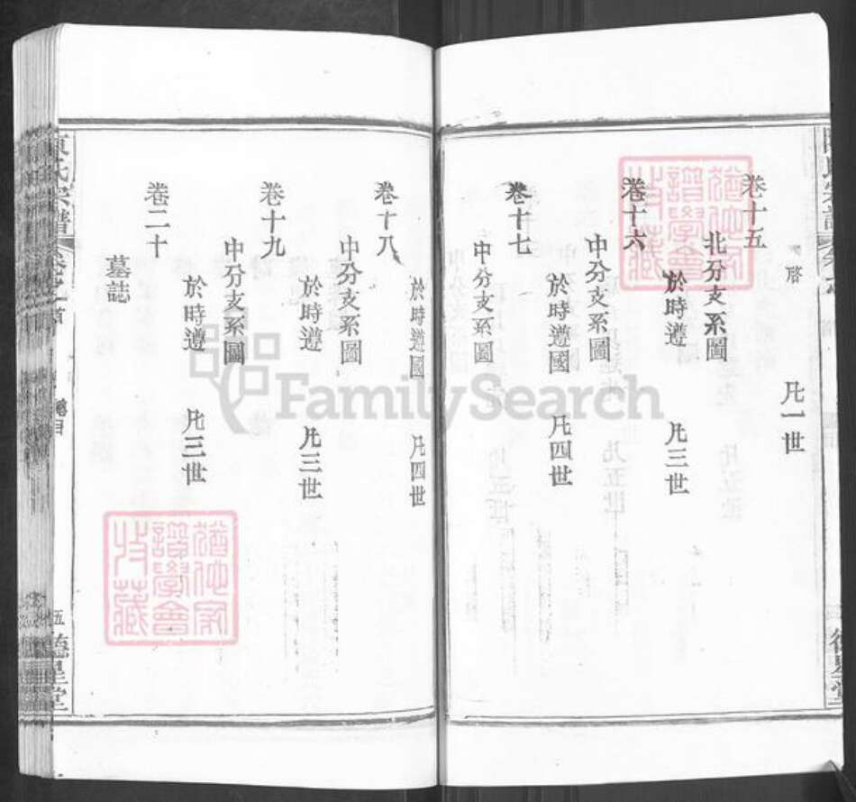 湖北省武汉市新洲区陈氏德星堂族谱-陈氏宗谱.pdf电子版预览图5