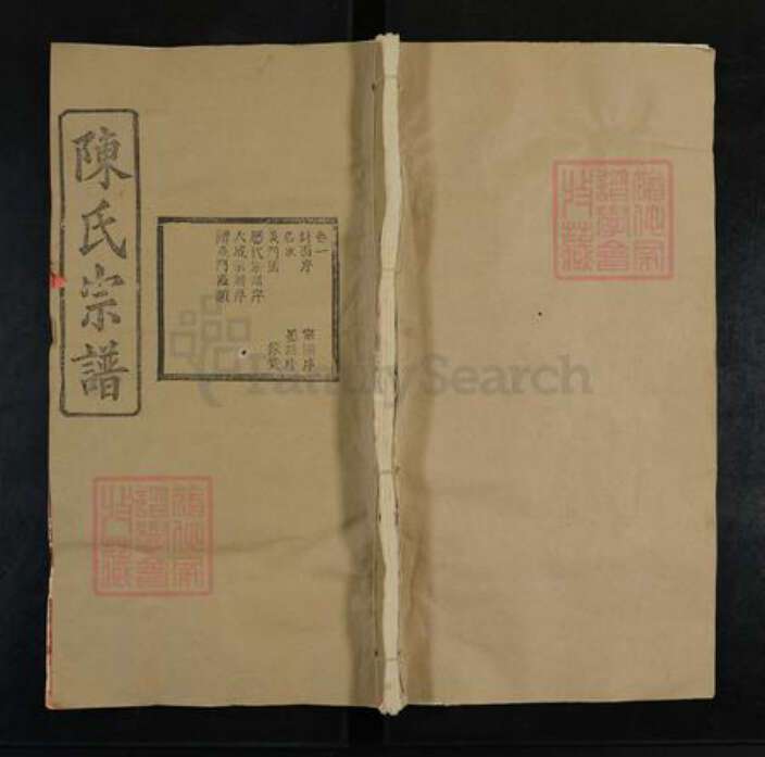 湖北省武汉市新洲区陈氏德星堂族谱-陈氏宗谱.pdf电子版缩略图