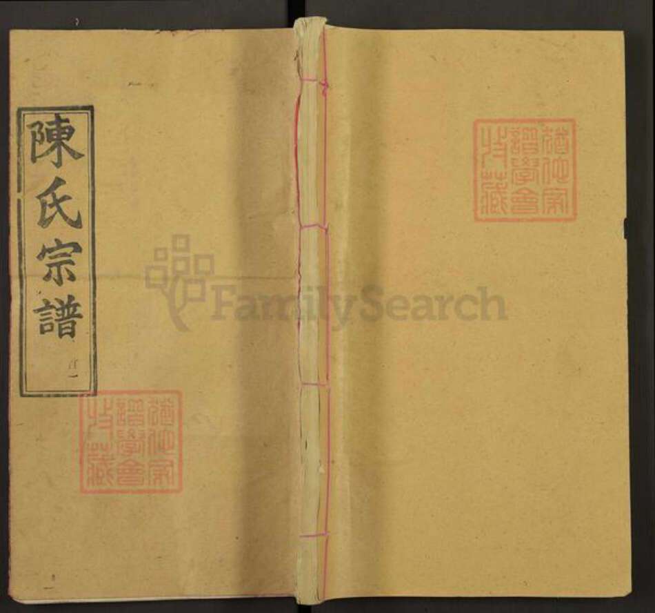 湖北省武汉市新洲区陈氏追远堂族谱-陈氏宗谱.pdf电子版缩略图