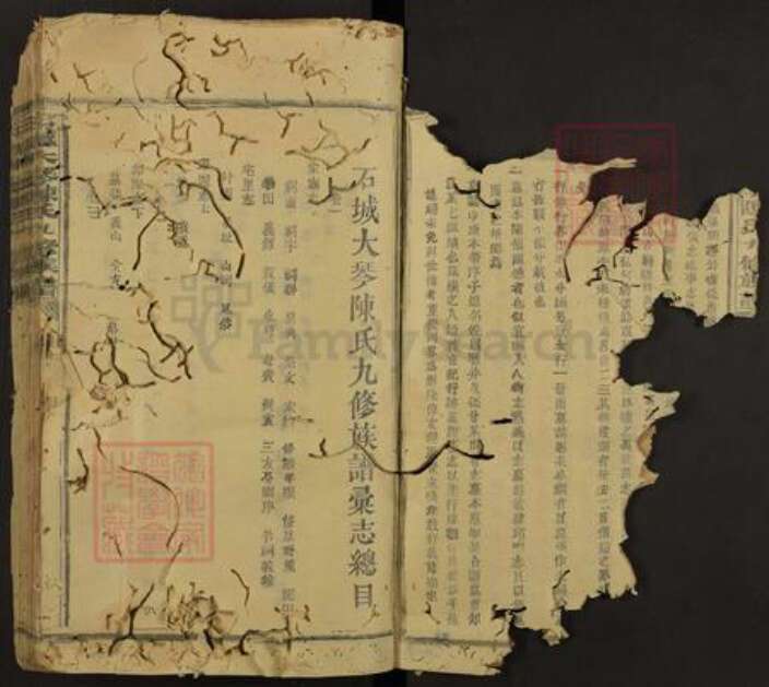 江西省赣州市石城县丰山乡陈氏族谱-石城大琴陈氏九修族谱.pdf电子版预览图2