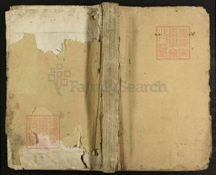 湖南省株洲市攸县陈氏惇叙堂族谱-陈氏五修族谱.pdf电子版缩略图