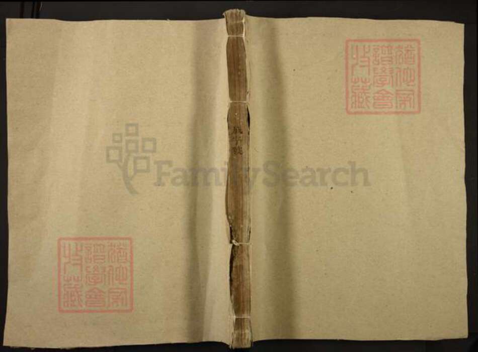 福建省三明市建宁县里心镇陈氏族谱-陈氏族谱.pdf电子版缩略图