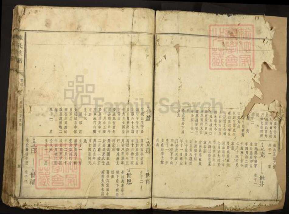 福建省三明市建宁县里心镇陈氏族谱-陈氏族谱.pdf电子版预览图2