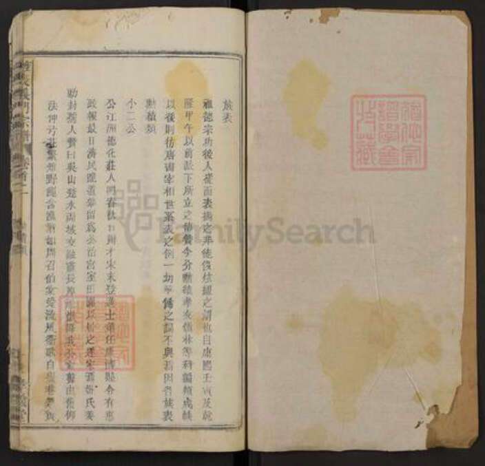 湖北省黄冈市武穴市陈氏孝义堂族谱-旌表义门宗谱.pdf电子版预览图1