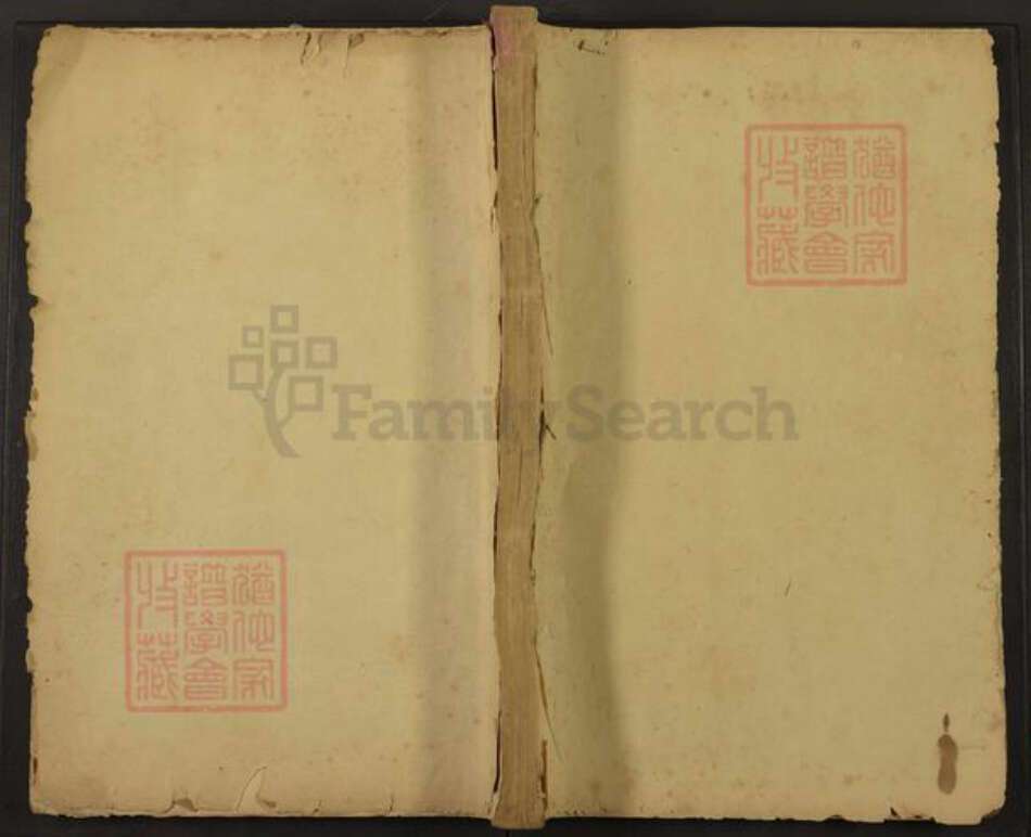 湖南省湘潭市湘乡市湘乡陈氏德星堂族谱-湘上陈氏族谱.pdf电子版缩略图