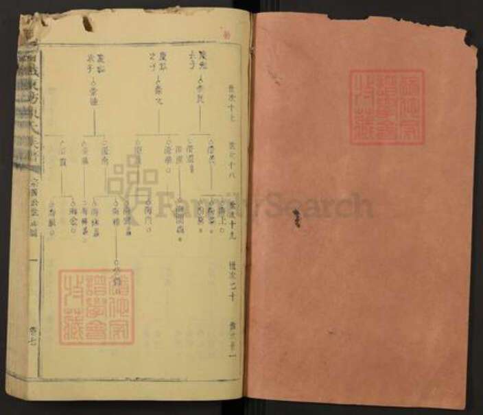 江西省赣州市石城县陈氏族谱-石城陈坊陈氏族谱.pdf电子版预览图1