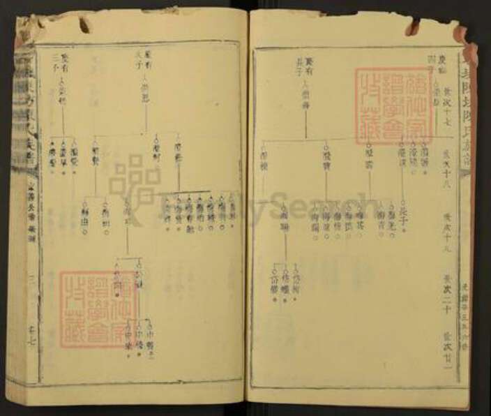 江西省赣州市石城县陈氏族谱-石城陈坊陈氏族谱.pdf电子版预览图3