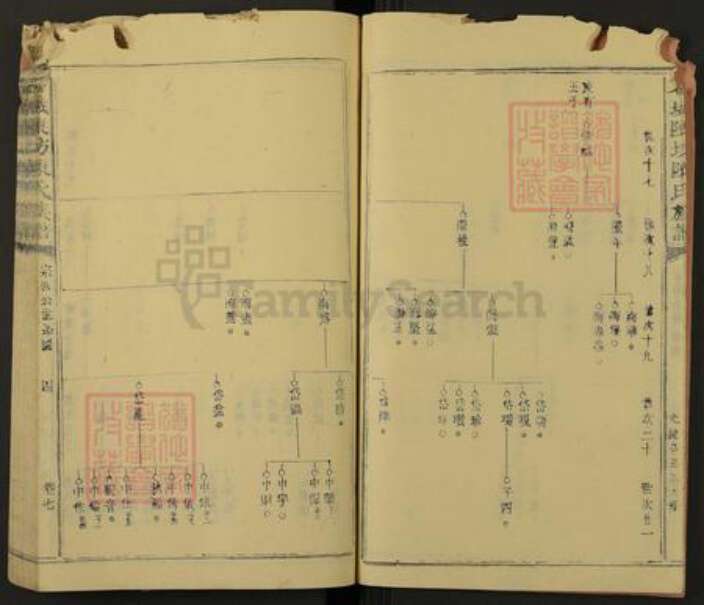 江西省赣州市石城县陈氏族谱-石城陈坊陈氏族谱.pdf电子版预览图4