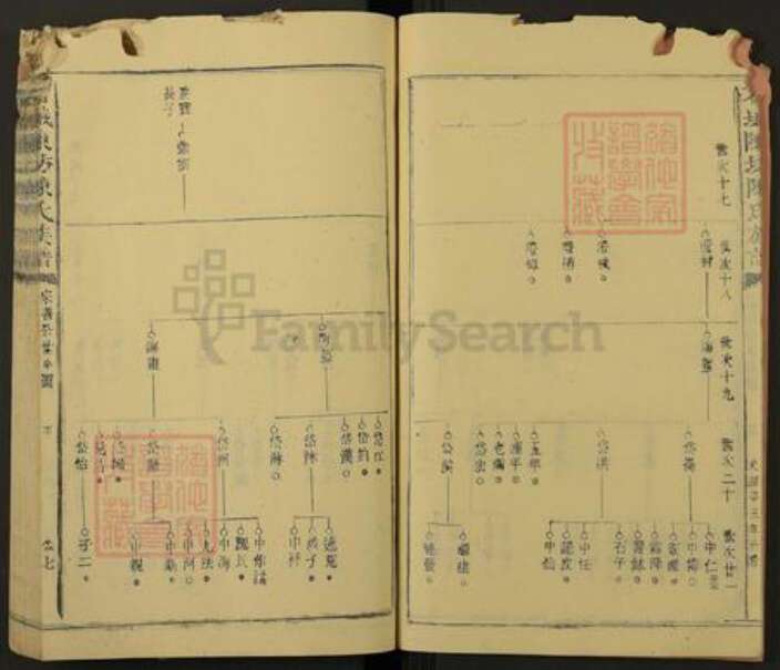 江西省赣州市石城县陈氏族谱-石城陈坊陈氏族谱.pdf电子版预览图5