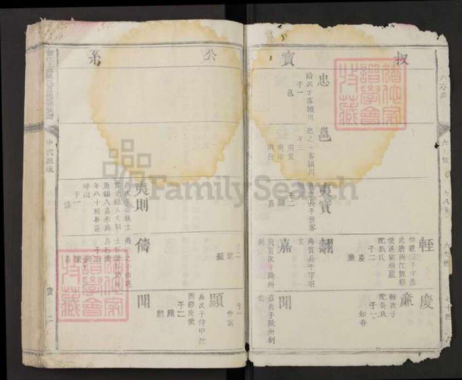 江西省陈氏族谱-赣江上游陈氏首届联修族谱.pdf电子版预览图2